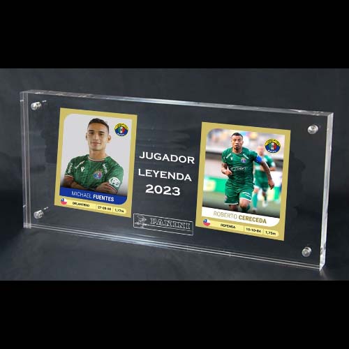 Acrílico tarjetas 22x16x2 cm