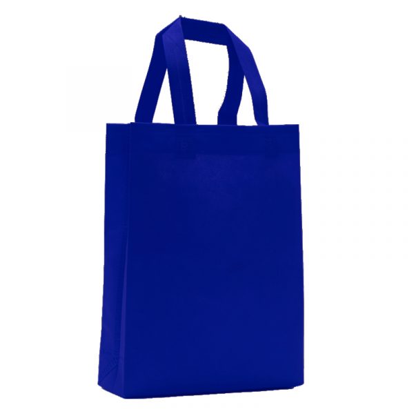 Bolsa Mediana 25 x 30 x 8 –