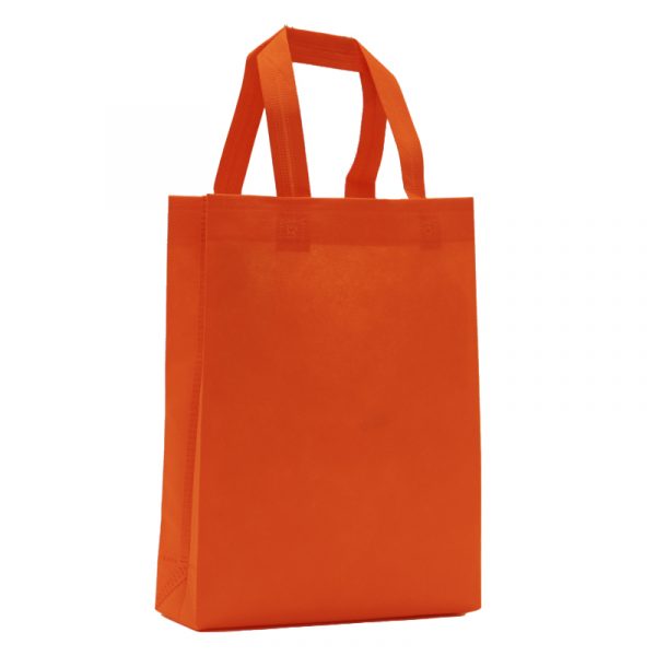 Bolsa Mediana 25 x 30 x 8 –