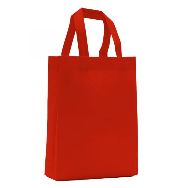 Bolsa Mediana 25 x 30 x 8 –