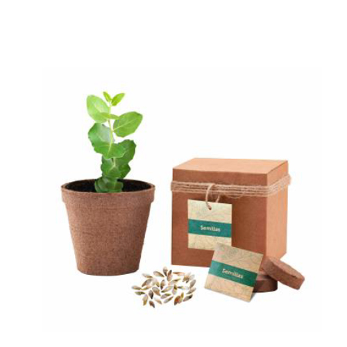 ECO KIT 03 ÁRBOL NATIVO
