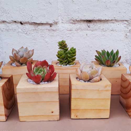 Macetero Madera 01